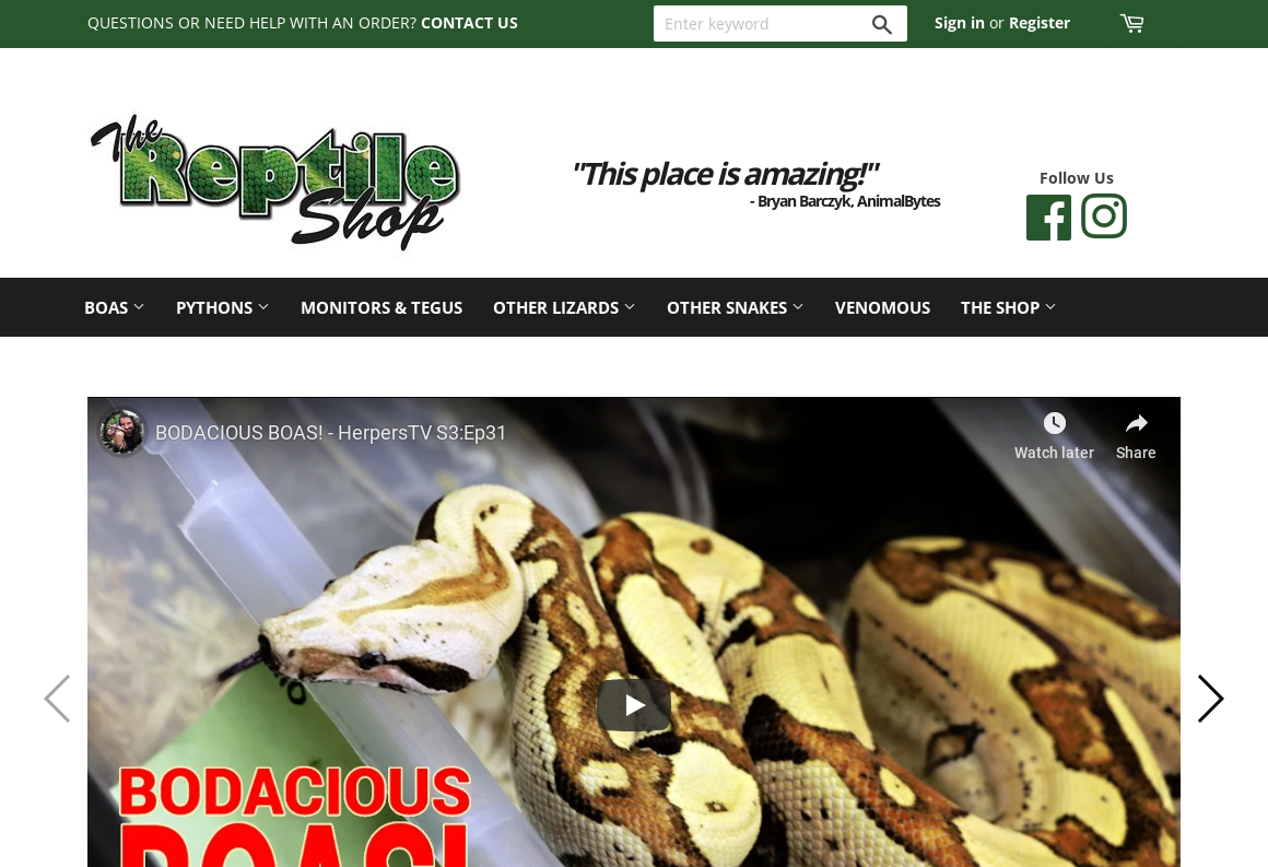 The hotsell reptile shop